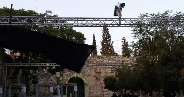 IOA severs Aqsa Mosque trees, deploys more security cameras