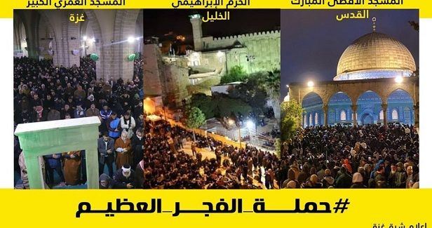 Mass dawn prayers in Gaza to support Aqsa and Ibrahimi Mosques