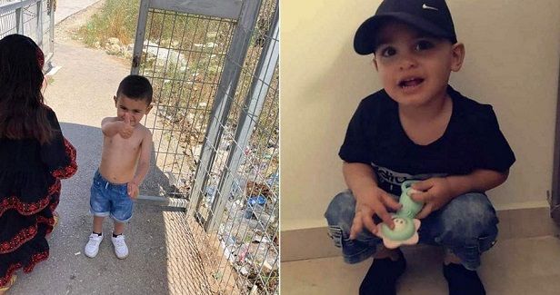 2-year-old Palestinian child briefly detained by IOF