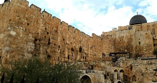 J�lem Awqaf calls on IOA to halt works at Aqsa�s southern wall