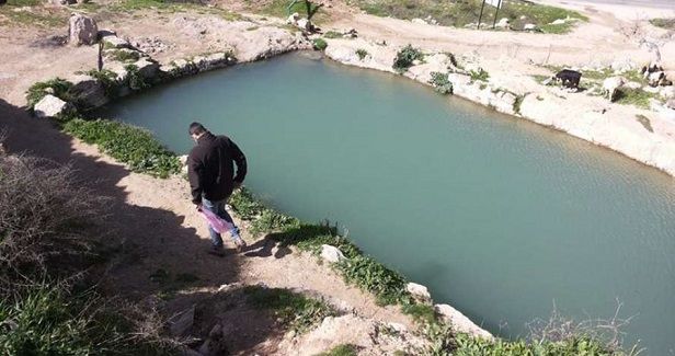 Ain al-Haniya: New target of Israel's greed