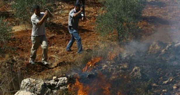 Jewish settlers torch cultivated land in Burin town