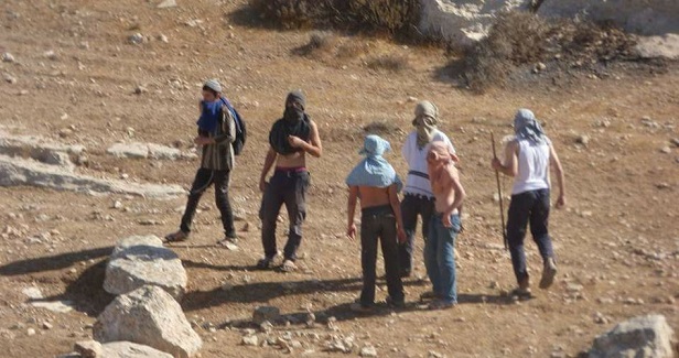 Israeli settlers attack Palestinian farmer