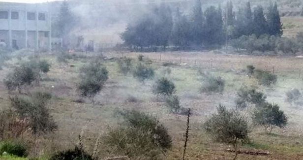 Jewish settlers torch swaths of land, attack homes in Nablus