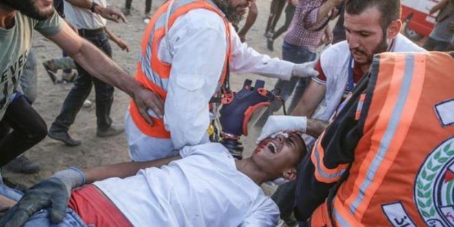 Israeli forces injure about 80 Gazans