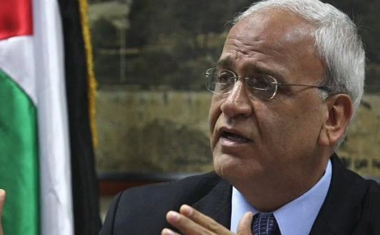 Erekat warns of Arab normalisation with Israel in return for abolishing annexation