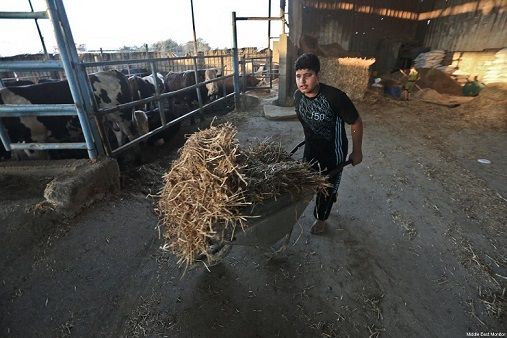 Three years after the war: Gaza youth speak out