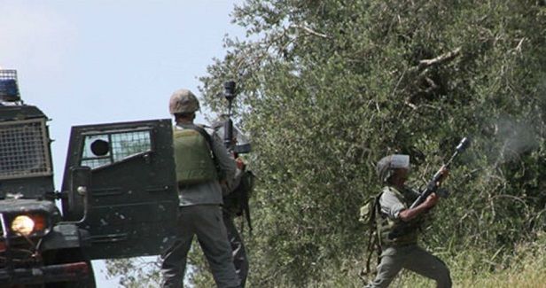 Four Palestinians injured by Israeli gunfire in Nabi Saleh village