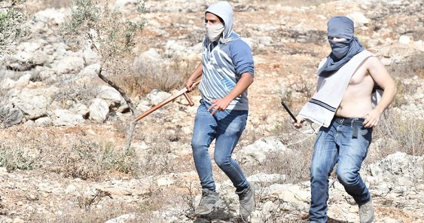 3 Palestinians killed, 429 injured in settler attacks