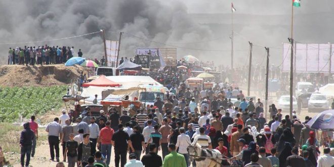 Palestine: An overview of the month of May
