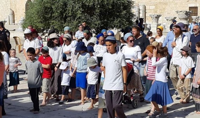Jewish settlers with their kids defile Aqsa Mosque