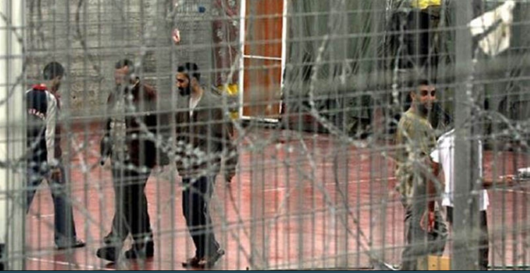 Palestinian Prisoners� Defiant Pursuit of Justice
