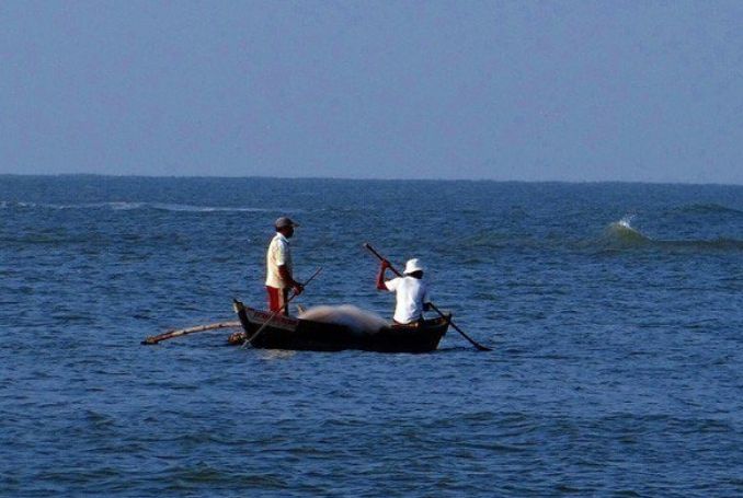 Israeli Authorities Drastically Reduce Gaza Fishing Zone