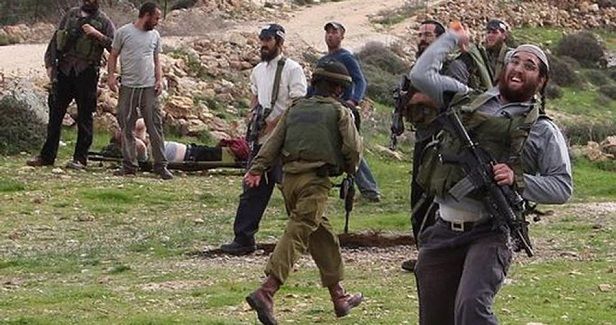 Jewish settlers rampage through olive groves in eastern Qalqilya