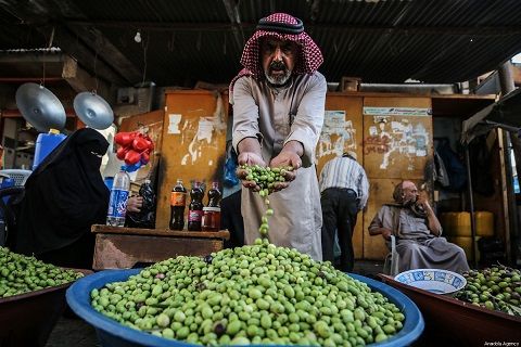 Gaza is self-sufficient in olive oil production, says ministry