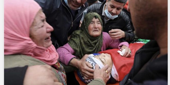 DCI : 14 Palestinian children killed since January