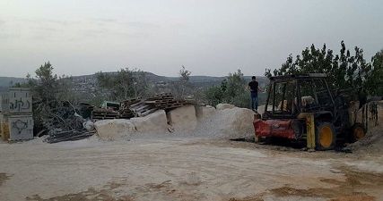 Israeli settlers destroy 50 olive trees in Bethlehem