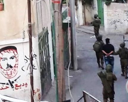 Israeli forces detain 10 Palestinians in raids including 11- and 12-year-old boys