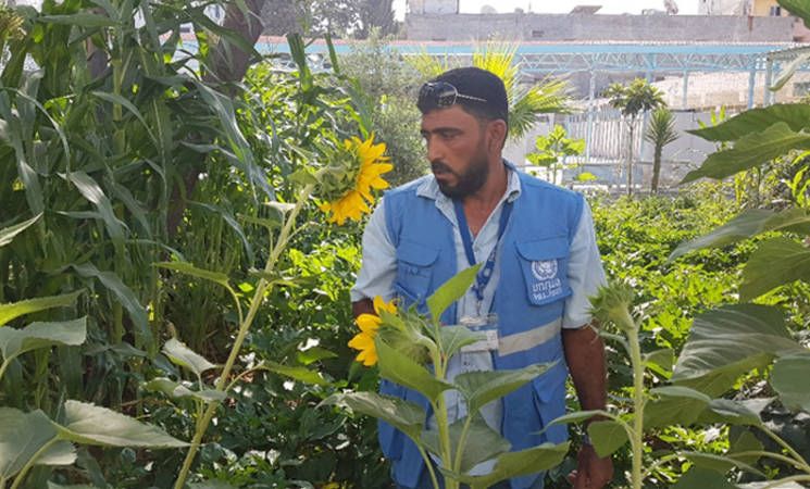 Mental Health Gardens: UNRWA finds new ways to integrate wellness with stress relieving spaces for Palestine refugees in Syria