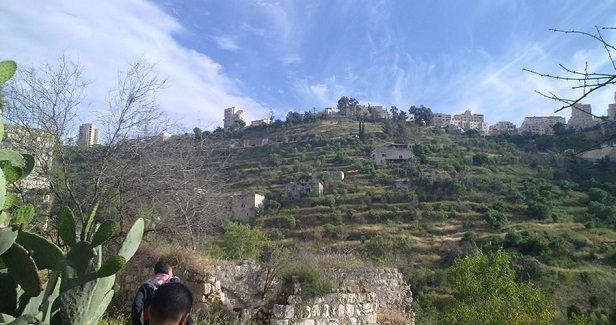 Israeli court rejects appeal filed by landowners in Sheikh Jarrah