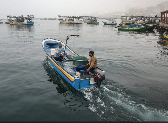 Gaza's fishermen struggling for a catch to feed their families