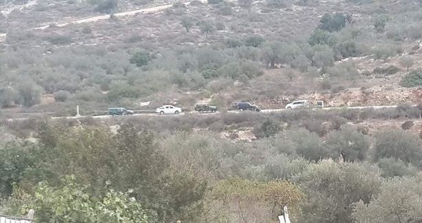 Settlers attack Palestinians harvesting olives near Qalqilya