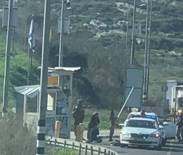IOF kill Palestinian near Qalqilya in the north of the West Bank