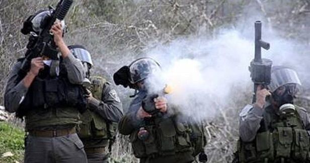 Elderly woman injured in IOF attack on W. Bank villagers