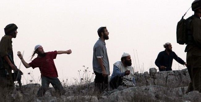 Settlers seize 120 dunums of Palestinian village south of Nablus