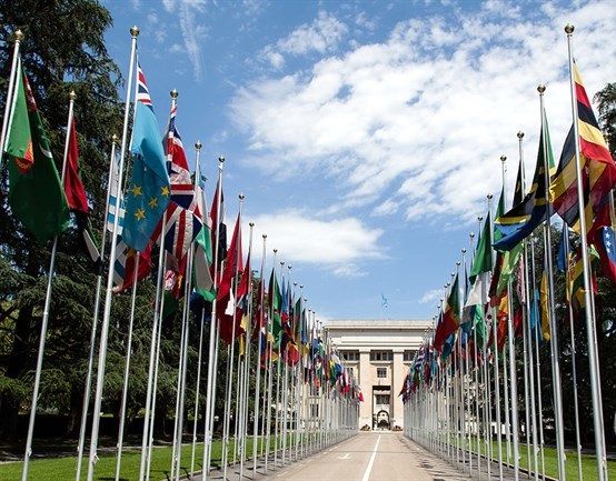 Palestine full member of Vienna Convention for Protection of Ozone Layer