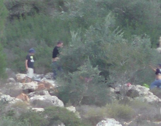 Israeli settlers attack Palestinians picking olives near Hebron