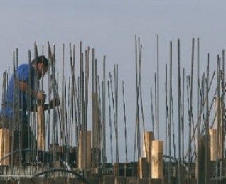 Palestinian worker dies after falling off building in Beit Ummar