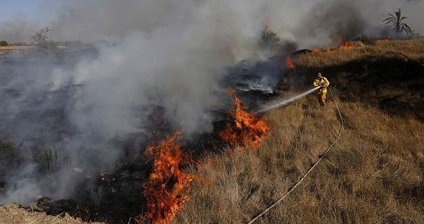 Balloons fired from besieged Gaza spark 17 fires in Israeli locations