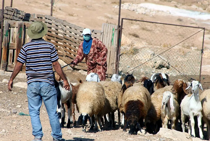 Israel settlers attack Palestine shepherd in West Bank