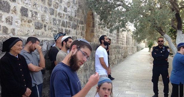 158 Israeli settlers force their way into Aqsa Mosque