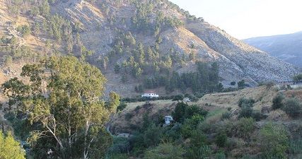 IOA seizes vast tract of W. Bank land to build Jewish cemetery
