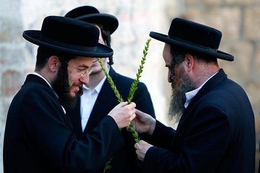 Almost 29,000 Jews moved to Israel in 2017