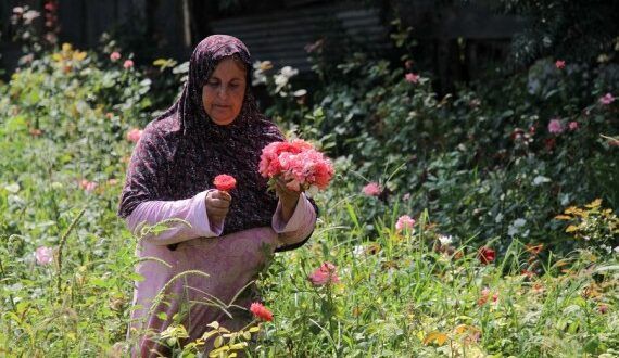 Gazan women produce plant-based natural cosmetics