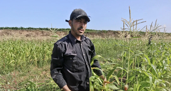 Gaza farmers call on UN to help sell their produce in West Bank