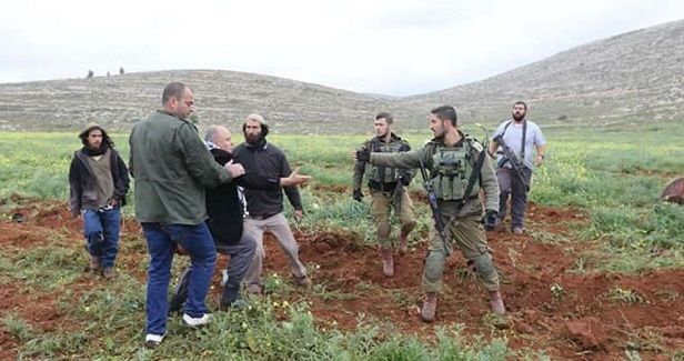 Jewish settlers torch dozens of trees in western Salfit