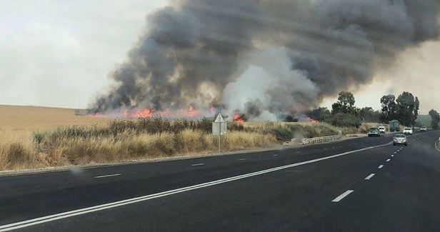 Balloons from Gaza trigger fires in border areas