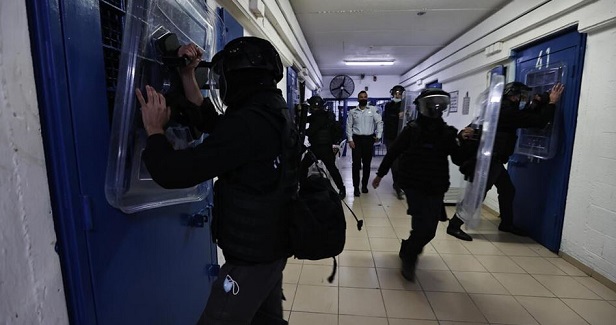 Israeli repression units storm Megiddo, Rimon prisons