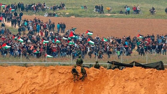 The Marches After Their First Year