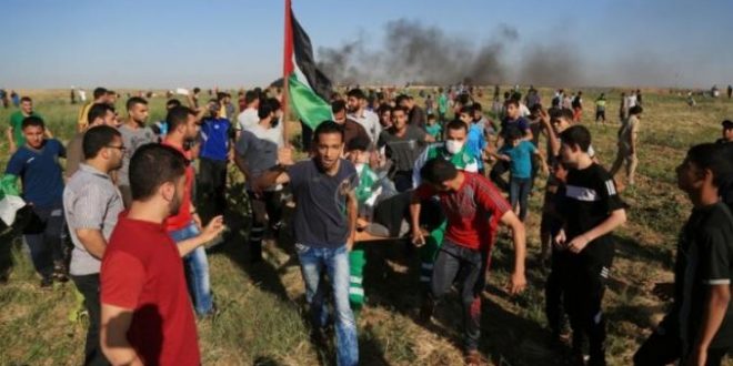 Undeterred Protestors: Gazas Hopeless Generation Expressing Their Despair