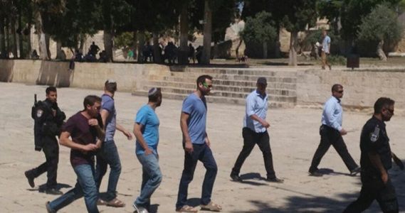 Israeli settlers storm Palestinian park in Yatta