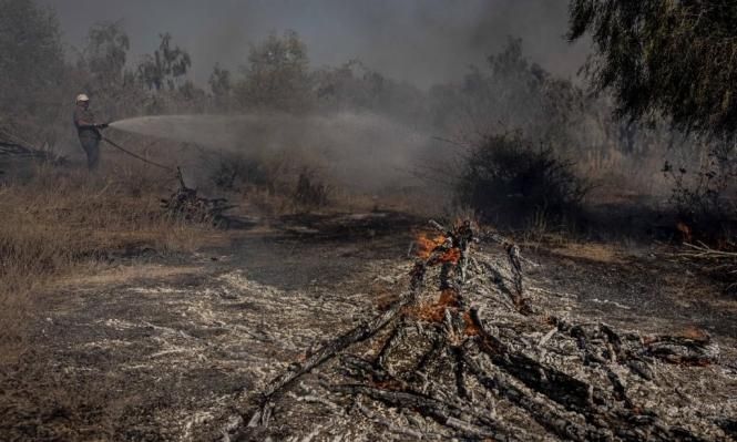 Fires caused by incendiary balloons in the vicinity of the Gaza Strip