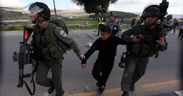 IOF arrests Palestinian child east of Qalqilya