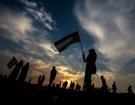 FM to UK Parliament: Two-state solution could reach point of no return