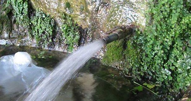 Alarm sounded as Israeli settlers ravage Palestinian nature resources