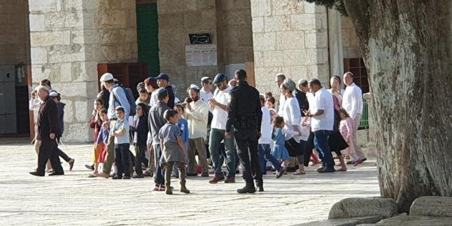 Over 1,600 settlers entered Al-Aqsa since the start of Passover